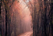 开云体育：火箭中流砥柱！申京晒赛场照：我们温暖了寒冷的空气.