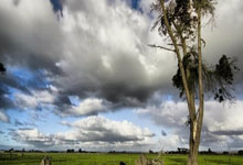 上海110-111惜败辽宁，赛后迎来1喜3忧，卢伟+年轻球员曝弊端！.